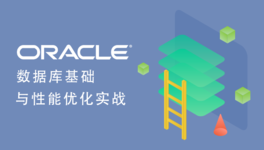 Oracle 数据库基础与性能优化实战