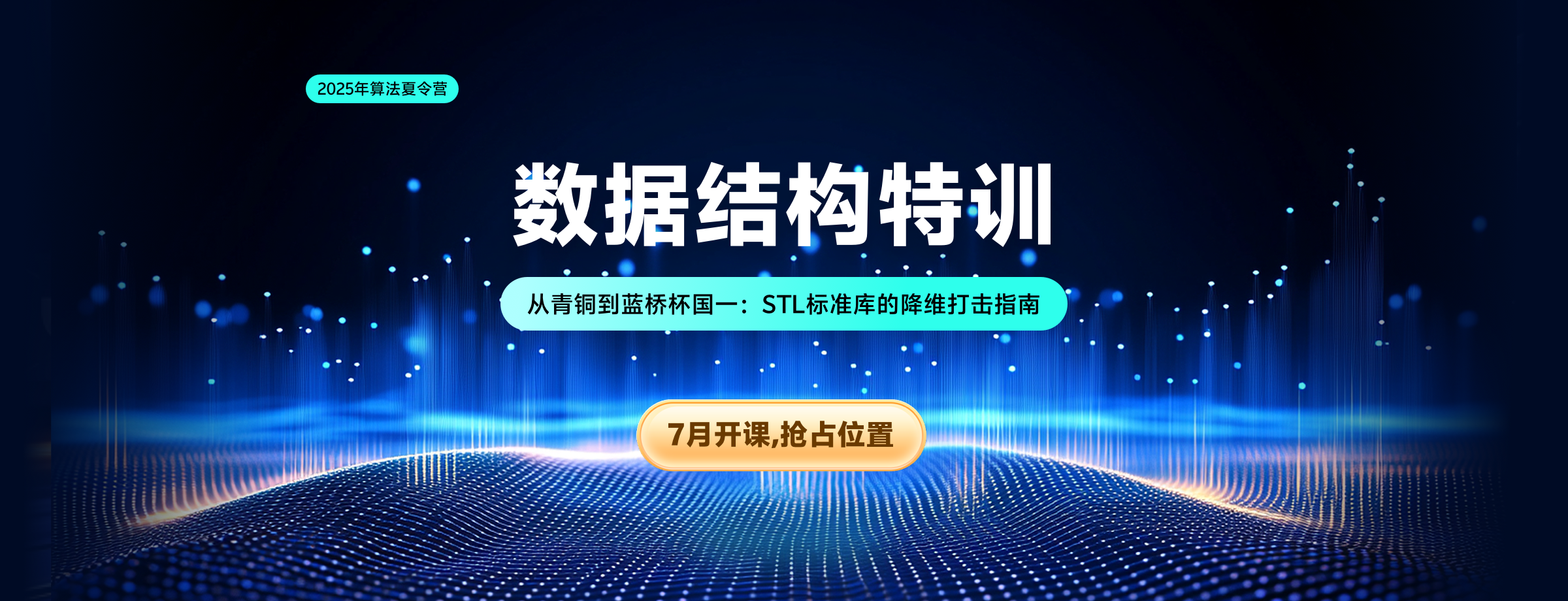 算法夏令营 数据结构特训