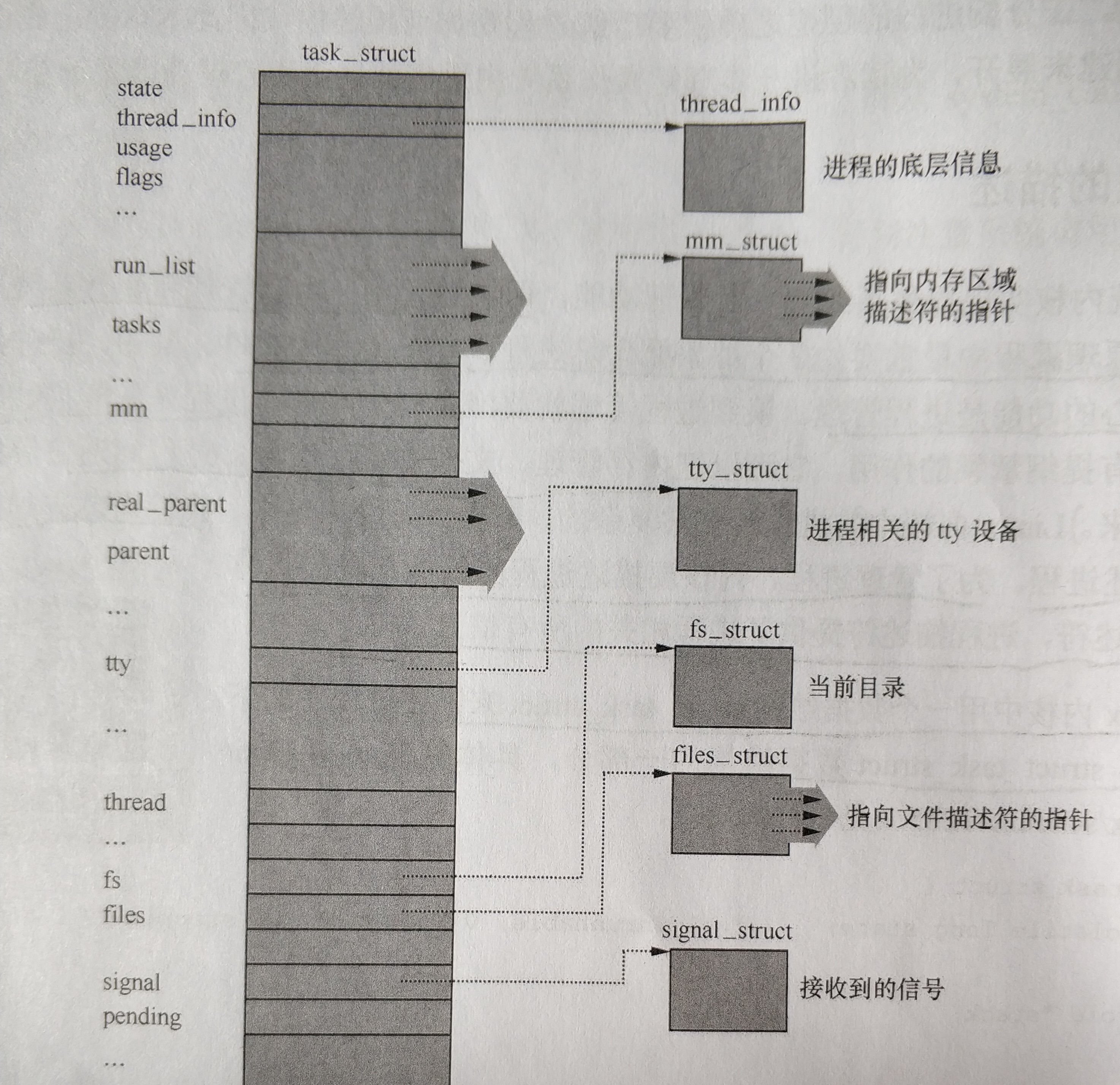 画像のキャプション