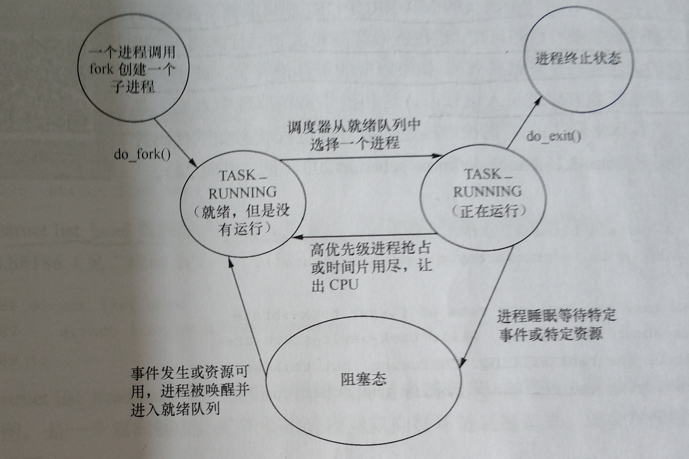 画像のキャプション