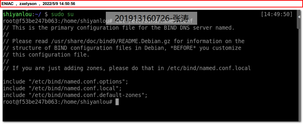 Linux dns 
