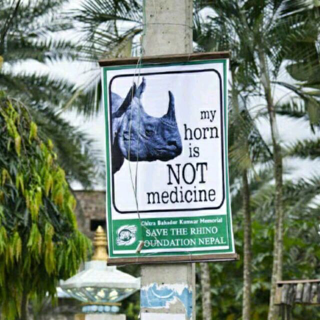 苏仕奇22920172204204