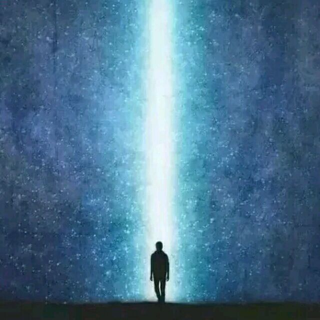 计1742_201758504201冯金虎