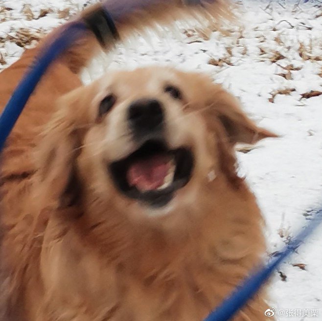 天津商业大学_计科1803_党笑笑