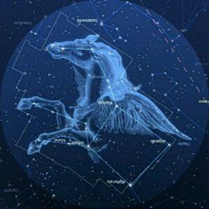 该昵称已被占用