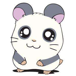 一只驻扎实验楼的白鼠