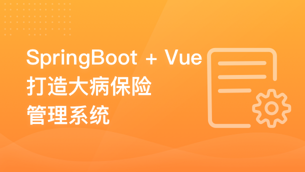 SpringBoot + Vue 打造大病保险管理系统