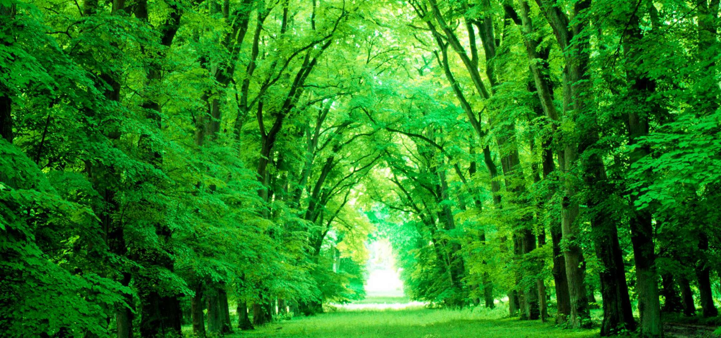 201741501128张玉华