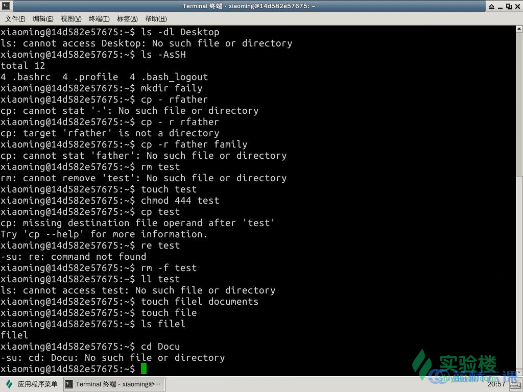 Linux 目录结构及文件基本操作 - 蓝桥云课